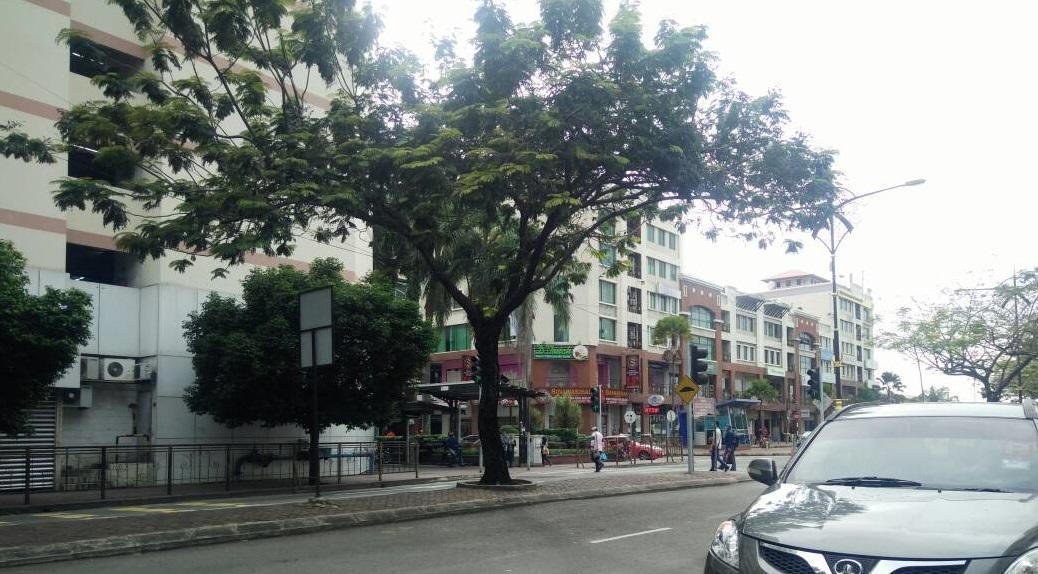 Escape Backpackers Kk Vandrarhem Kota Kinabalu Exteriör bild
